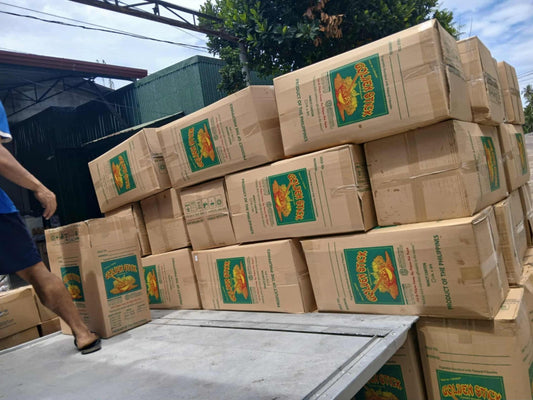 Brewing Hope for Northern Cebu